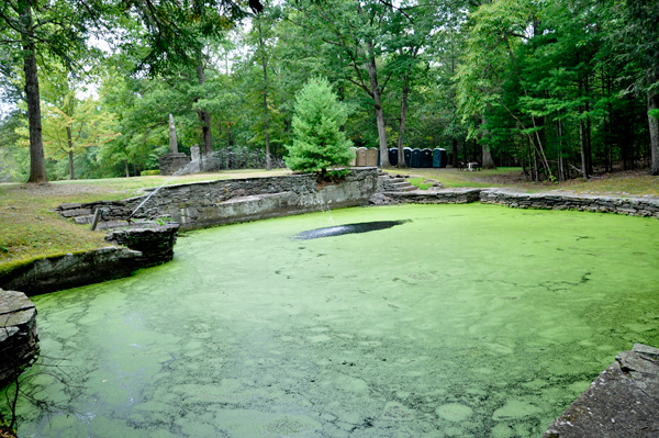 The Shallow Pool